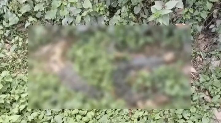 নারায়ণগঞ্জে ডোবার পাশ থেকে মানব কঙ্কাল উদ্ধার